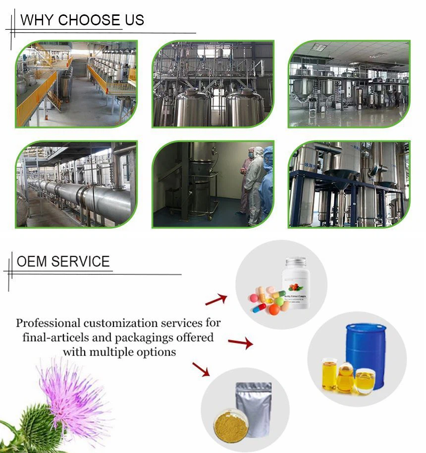 202012181752574c9868424df6456bbe832a36e9328d13 202012181752574c9868424df6456bbe832a36e9328d13