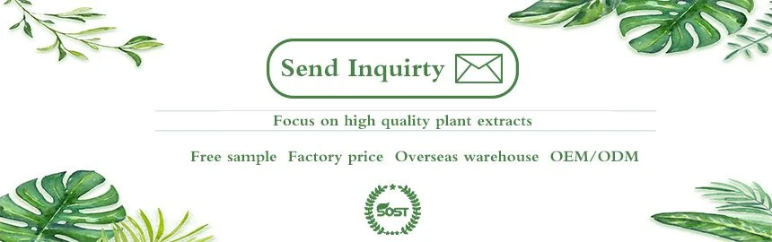 send inquiry
