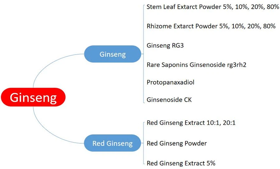 ginseng