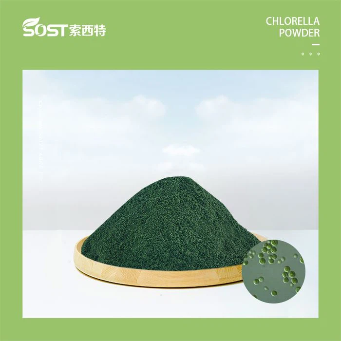 Chlorella Extract Powder