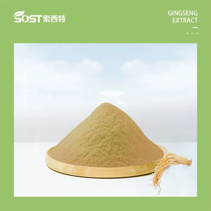 Bubuk Ekstrak Ginseng