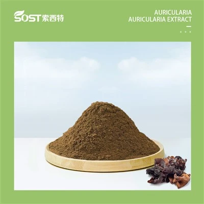 Ekstrak jamur hitam