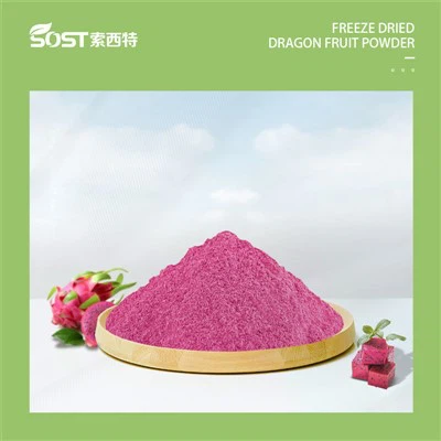 Bubuk Buah Naga Beku Kering