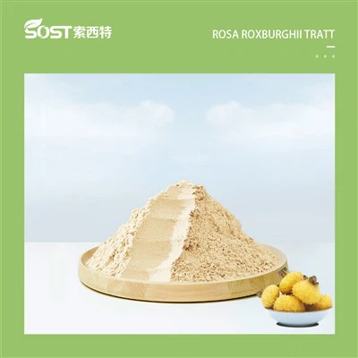 Bubuk SOD Superoksida Dismutase