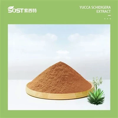Ekstrak Yucca
