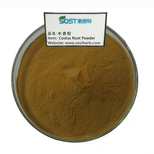 Costus Root Extract Powder