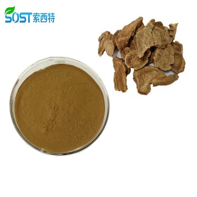 Costus Root Extract Powder