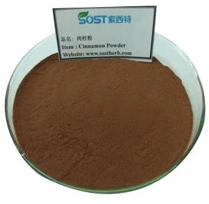 Bubuk Kayu Manis Cina