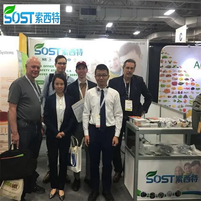 Silica Silicon Dioxide Powder
