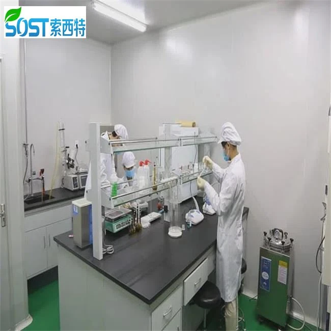 Silica Silicon Dioxide Powder
